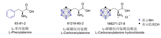 Structures of L-PhenylalanineL-Carboranylalanine and L-Carboranylalanine hydrochloride Structures of L-PhenylalanineL-Carboranylalanine and L-Carboranylalanine hydrochloride